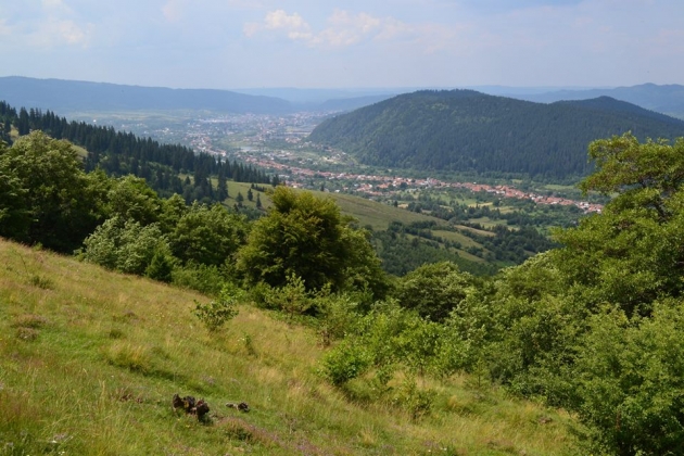 Priveliste de pe traseul Trofeului Muscelului